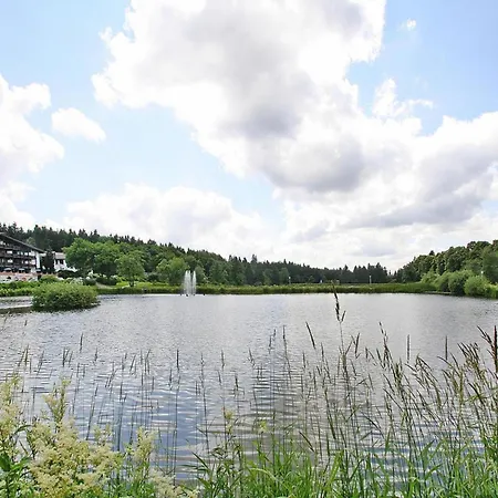 Ferienwohnung, Hahnenklee גוסלר