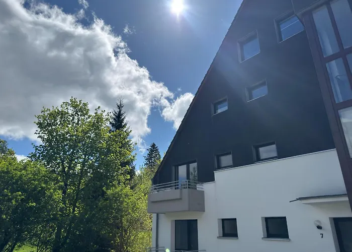 Ferienwohnung, Hahnenklee 戈斯拉尔