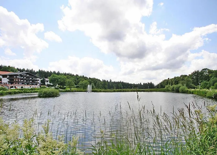 Ferienwohnung, Hahnenklee 戈斯拉尔